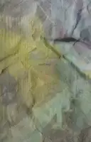 tachinbo (Signed and numbered, edt of 100)