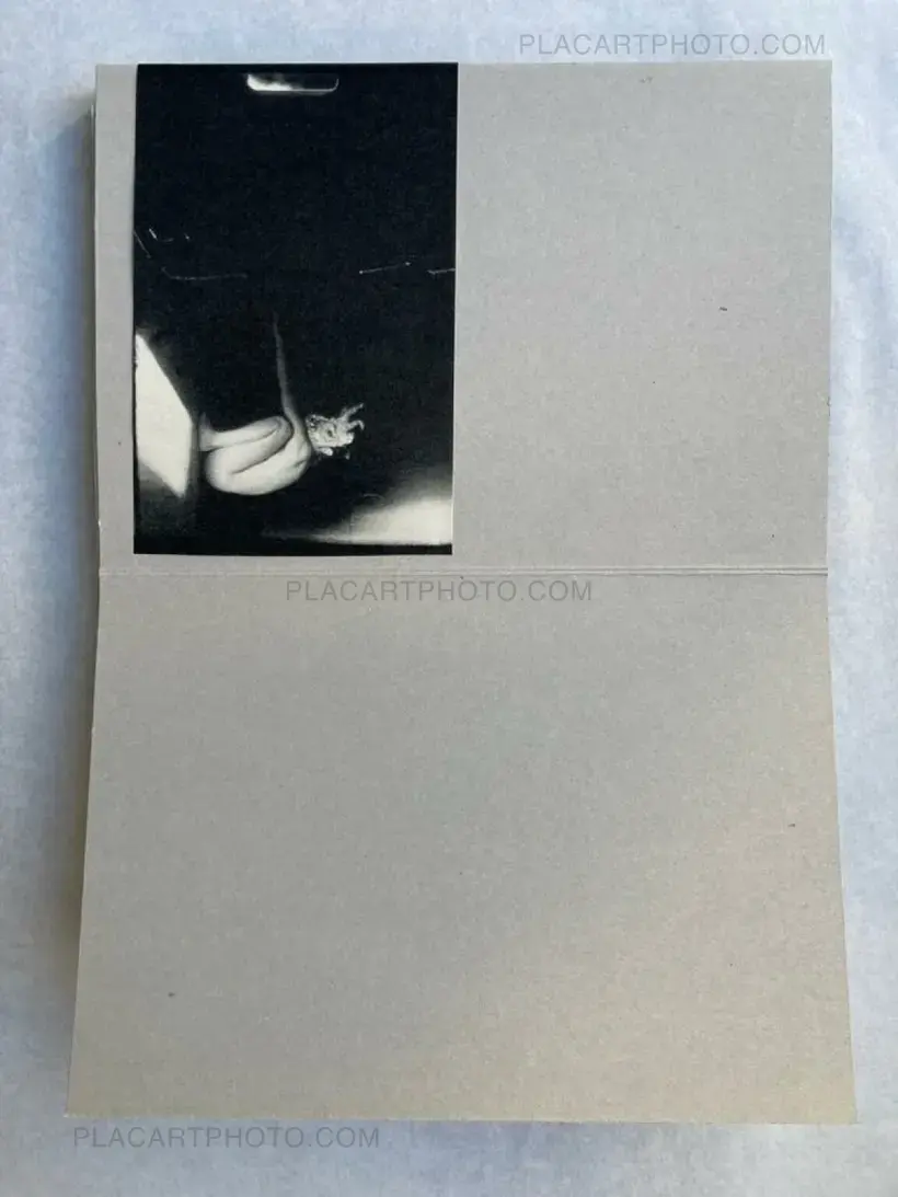 WALLS (DELUXE EDT OF 23 COPIES)