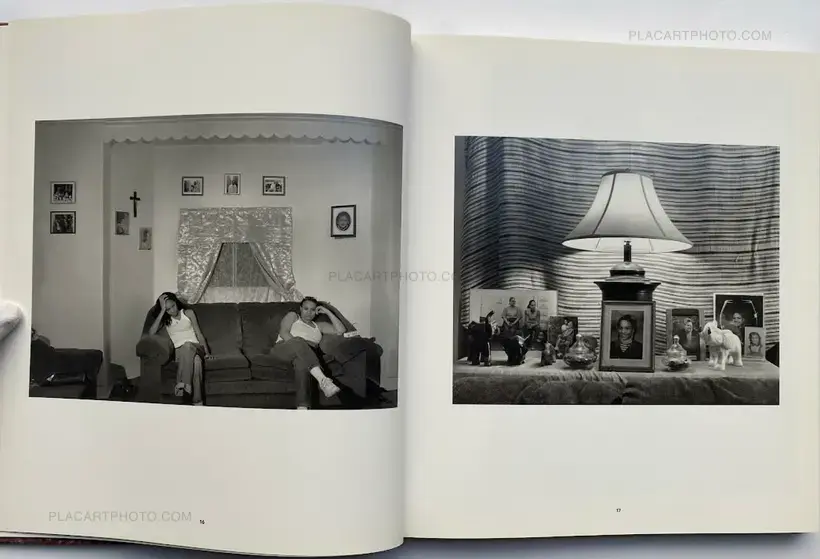 THE NOTION OF FAMILY (First edition)