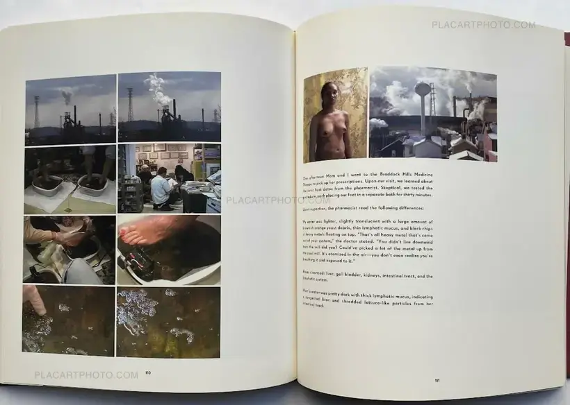 THE NOTION OF FAMILY (First edition)