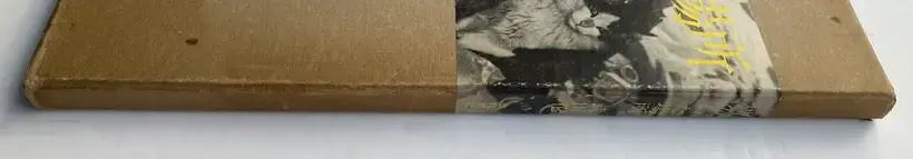 Where cats were / Neko no ita basho