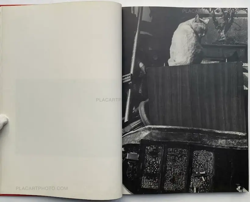 Where cats were / Neko no ita basho