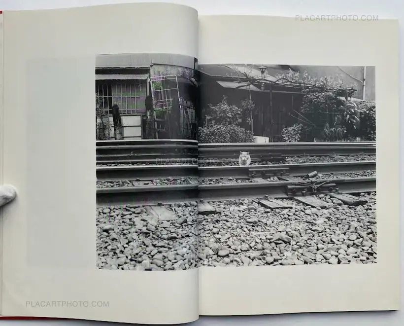 Where cats were / Neko no ita basho