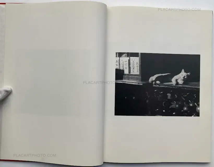 Where cats were / Neko no ita basho