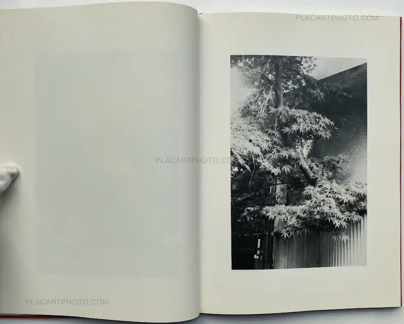 Where cats were / Neko no ita basho