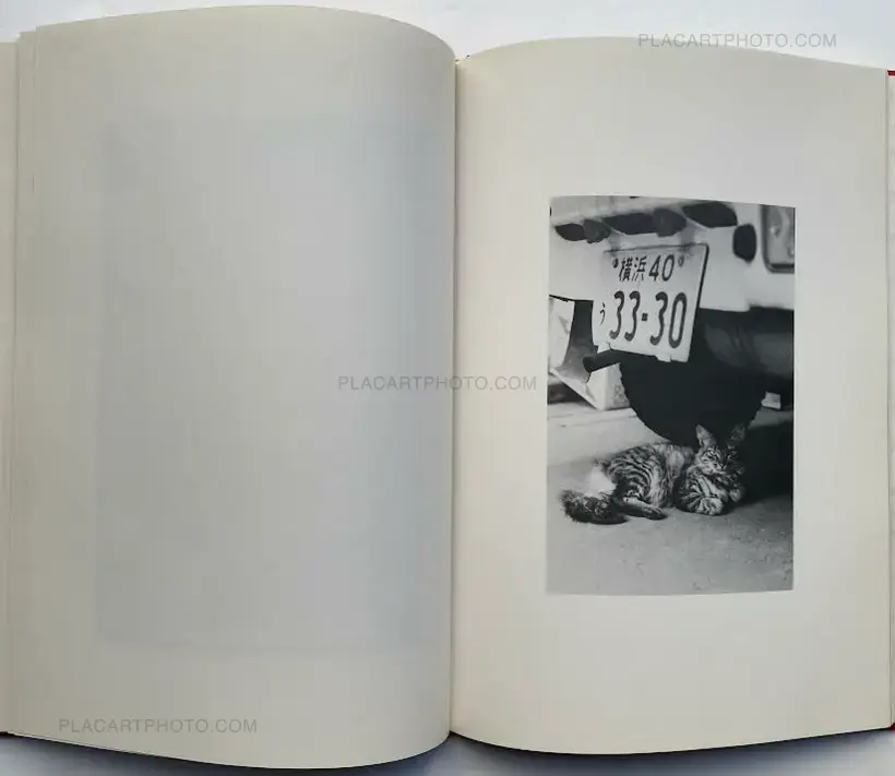 Where cats were / Neko no ita basho