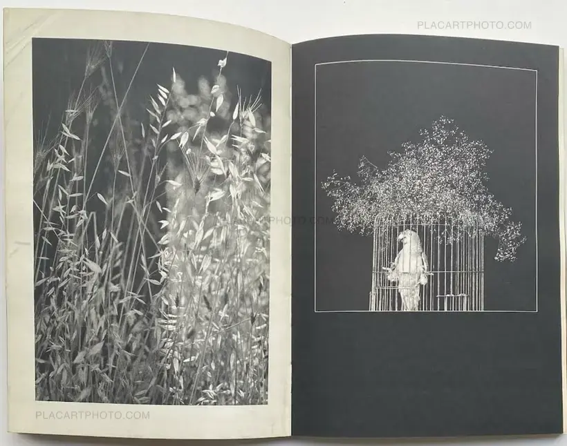 Kagyu no kiseki 1949-1974 (with obi)