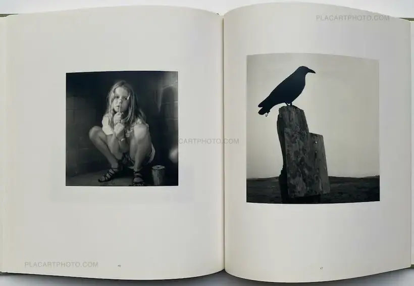 TOMATOES ON THE BACK PORCH