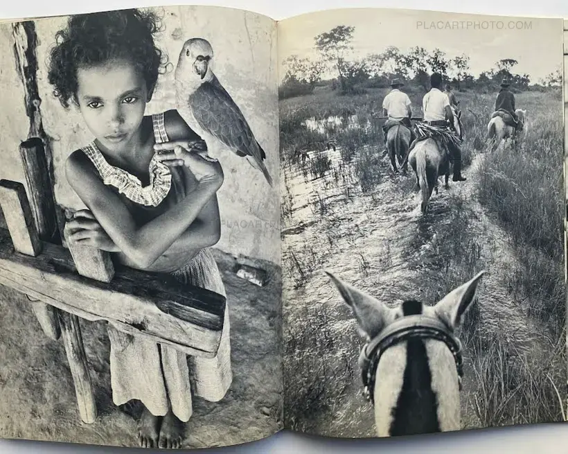 SAMBA SAMBA BRAZIL (Signed)