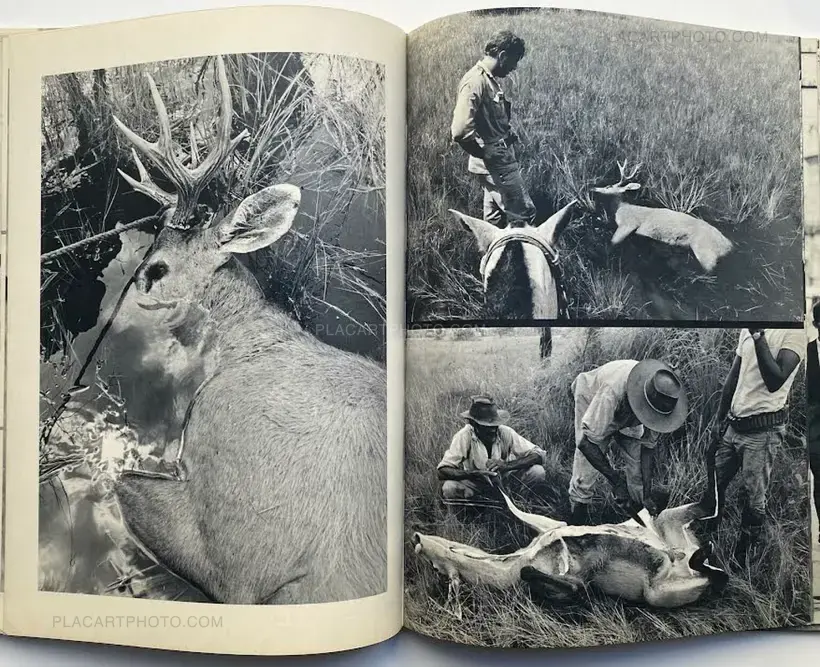 SAMBA SAMBA BRAZIL (Signed)