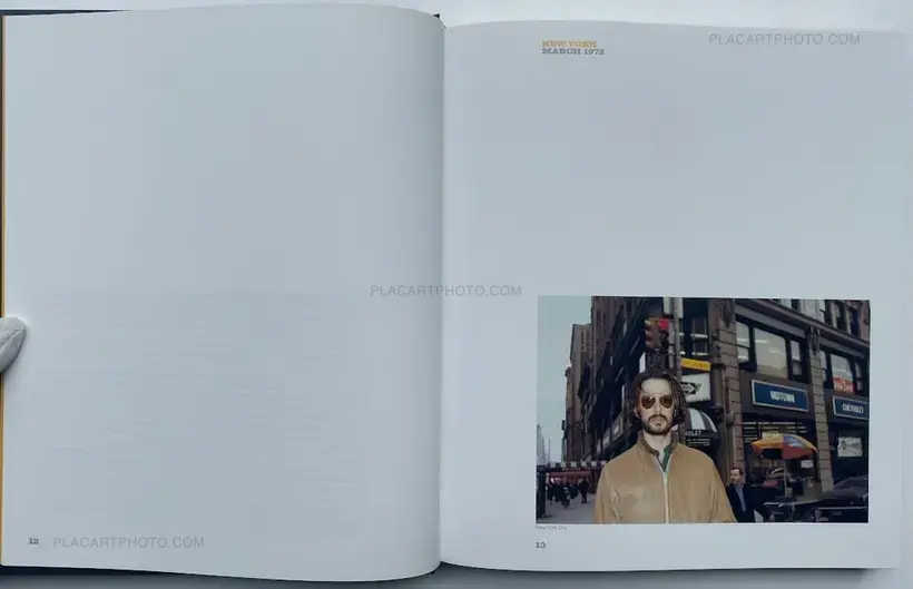 Surfaces Américaines (Signed)