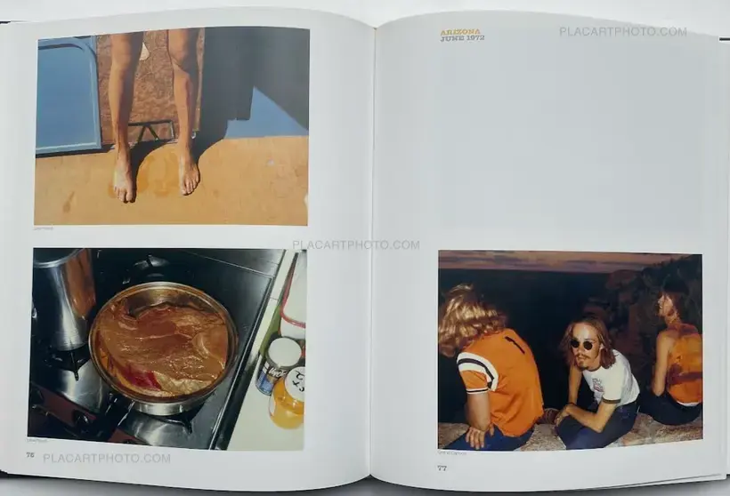 Surfaces Américaines (Signed)