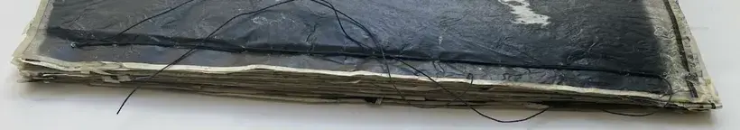 Matter waxed (Unique copy)