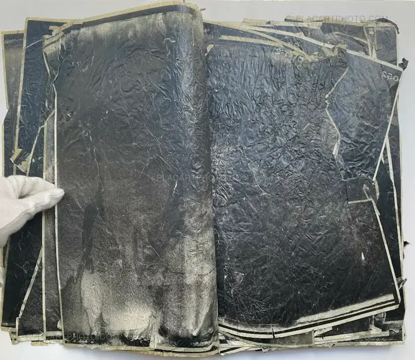 Matter waxed (Unique copy)