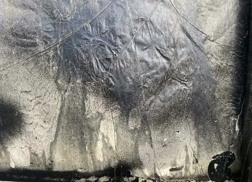 Matter waxed (Unique copy)