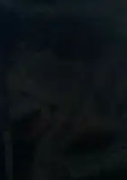 Inversion, Negative (Signed, display copy)