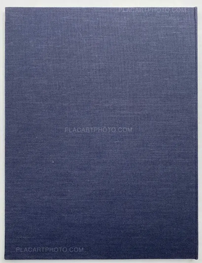 THE LEANING TOWER OF VENICE (Edt of 350)