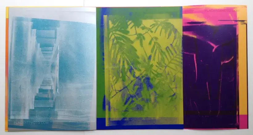 INVERSION(Arles Edition of 80 copies)