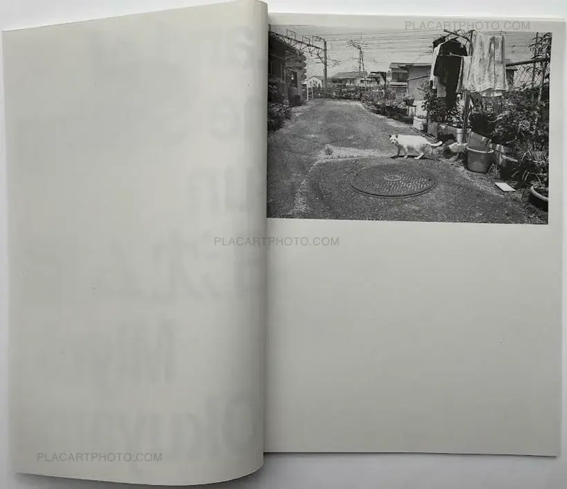 Land of the Setting Sun (Numbered and signed, edt of 100)