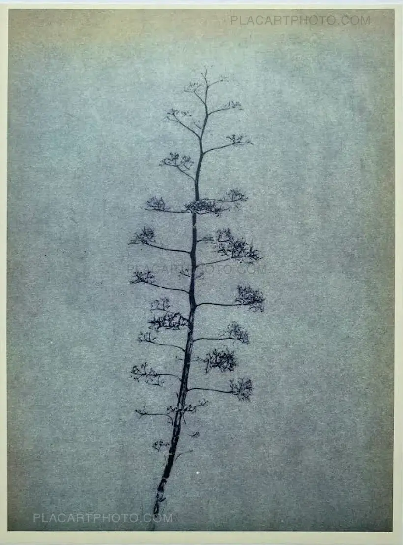 ABEND DER WORTE (Collector's edition, edt of 30)