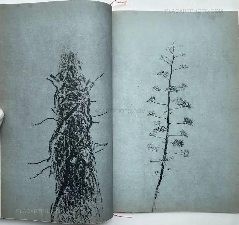 ABEND DER WORTE (Collector's edition, edt of 30)