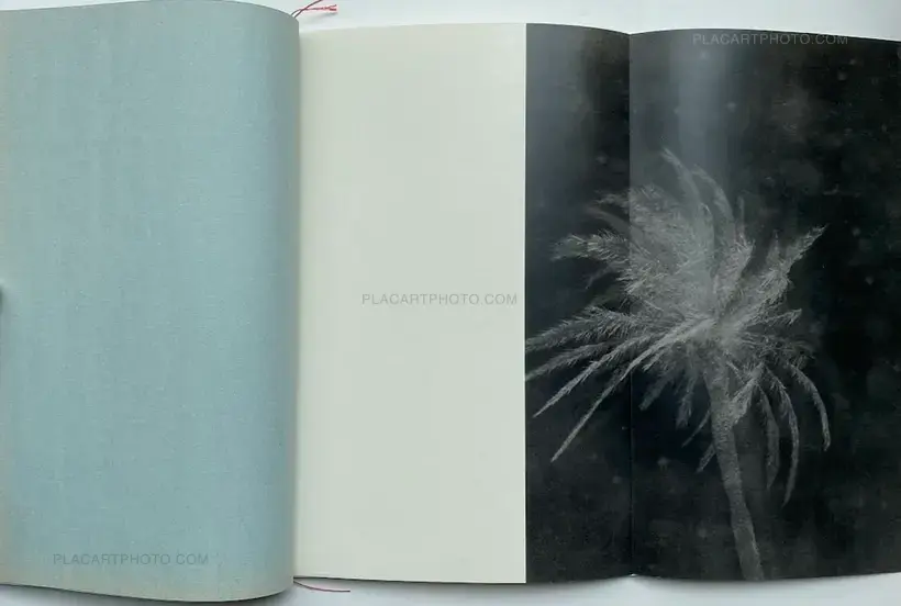 ABEND DER WORTE (Collector's edition, edt of 30)