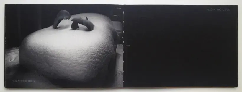 Cul de sac (handmade 79 copies)