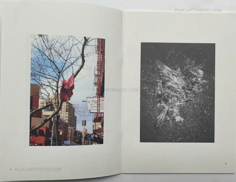 JP_ EN Issue.1 & Issue.2