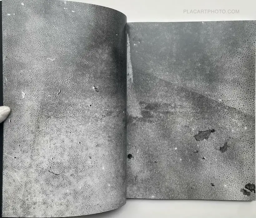 CLASSON (Signed by both artists)