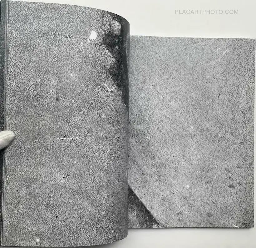 CLASSON (Signed by both artists)