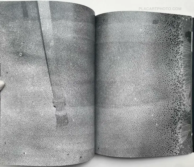 CLASSON (Signed by both artists)