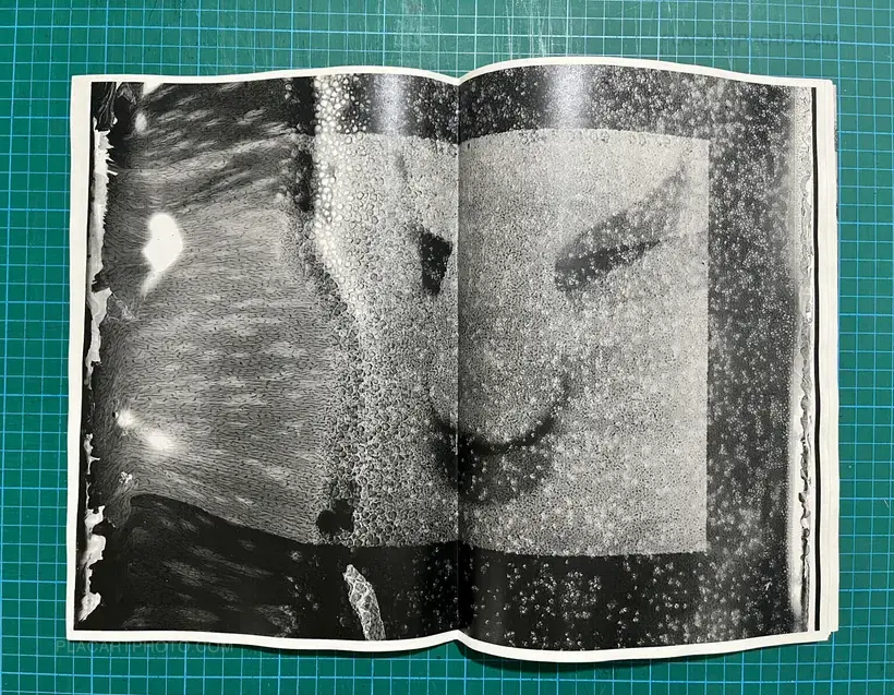 Matter 2024 (SIGNED)