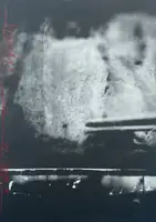 VORHANG, il ti iza zastora (Signed and numbered, edt of 200)