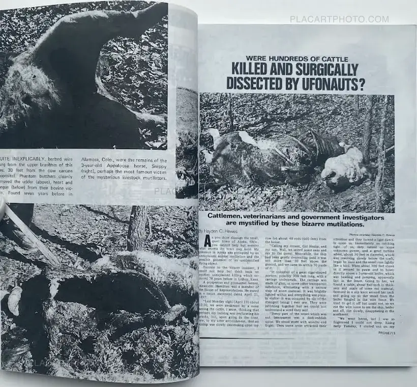 IN BED WITH AN ALIEN KIDNAPPER (Signed and numbered, edt of 20)