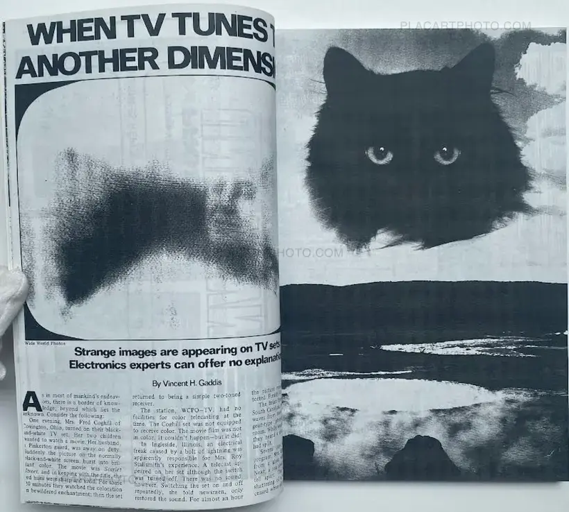 IN BED WITH AN ALIEN KIDNAPPER (Signed and numbered, edt of 20)