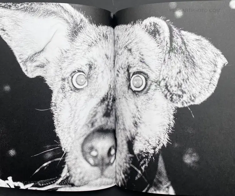 At Least Until The World Stops Going Round (Signed)