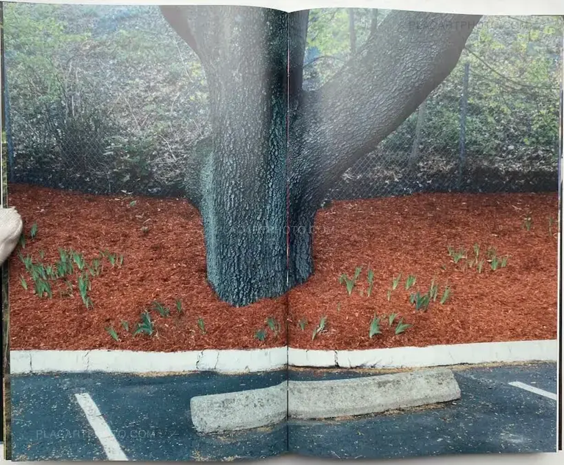 Contrepoint (Signed and numbered, edt of 500)