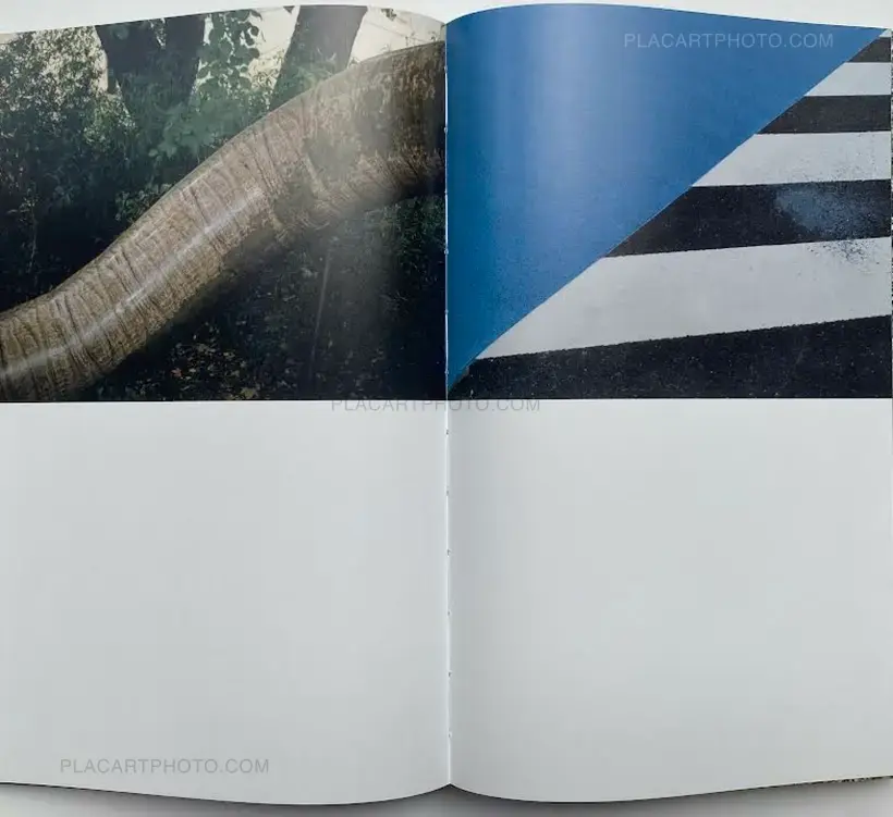 Contrepoint (Signed and numbered, edt of 500)