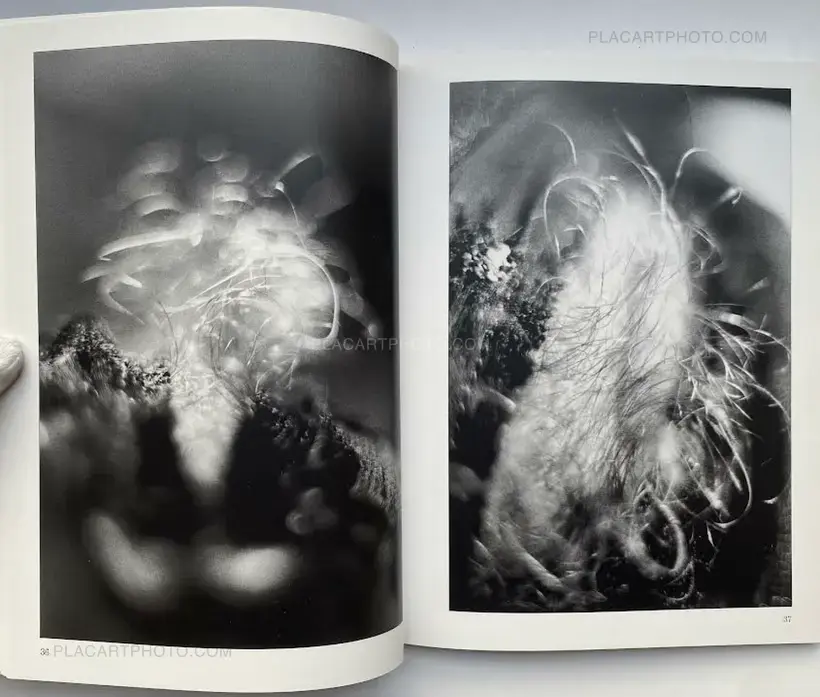 2000 photographies du sexe d'une femme (With 1 print, edt of 26)