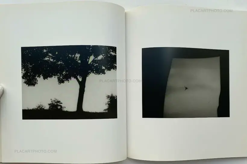 Indicier/Indications