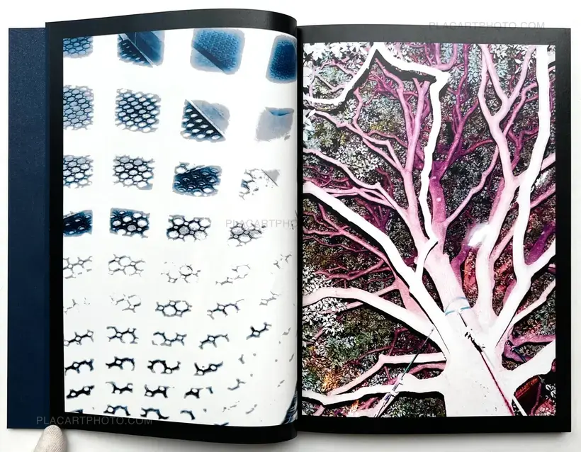 SALVAGE (Signed and numbered)