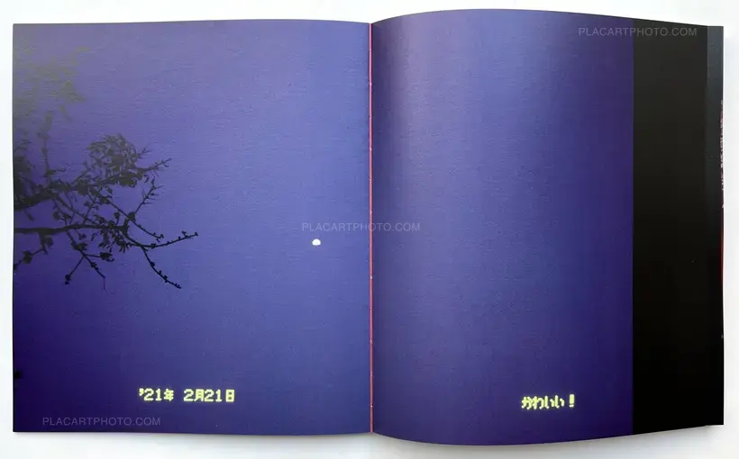 She's Lost Control (Signed)