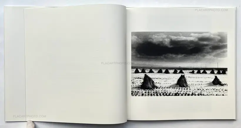 Kodama (Signed and numbered)