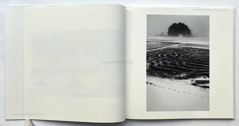 Kodama (Signed and numbered)