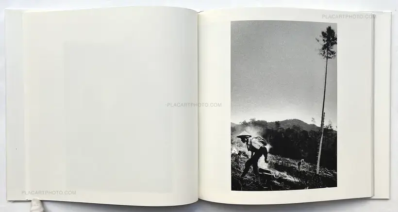 Kodama (Signed and numbered)