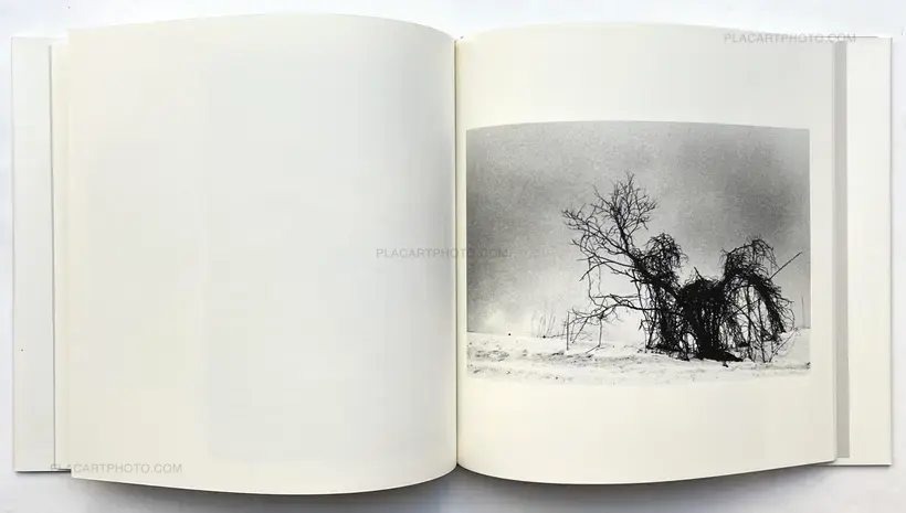 Kodama (Signed and numbered)