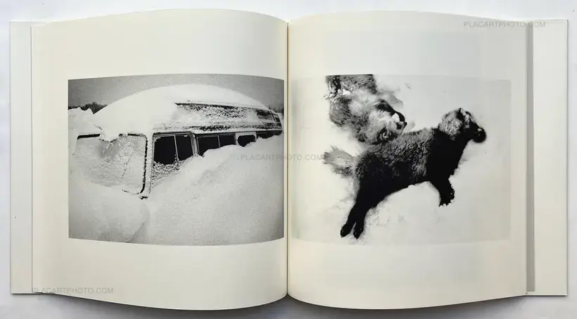 Kodama (Signed and numbered)