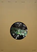 And Into The Forest I Go