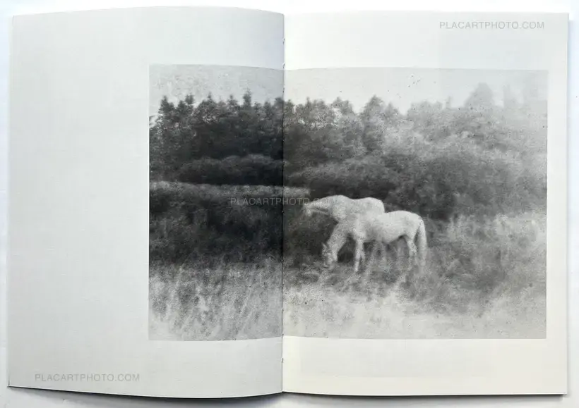 A Summer Of A Thousand Years (Edt 350, signed and numbered)