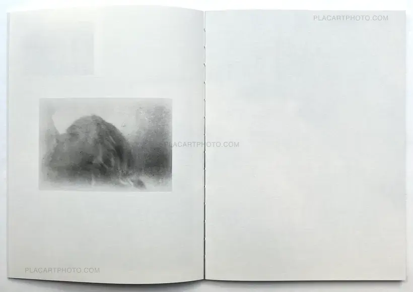 A Summer Of A Thousand Years (Edt 350, signed and numbered)